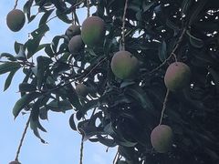 -云溪植物园