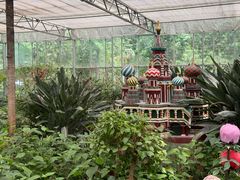 -南宫五洲植物乐园