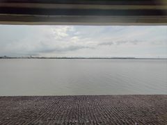 -大湾区中央湿地公园