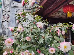 -云南民族村