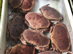 -南沙十九涌渔人码头-南门