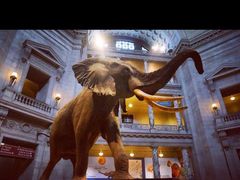 -国家自然博物馆