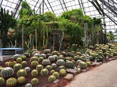 -亿利库布其七星湖沙漠生态旅游区