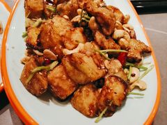 -向外鱼乐·土菜·虹鳟鱼