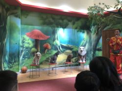 -未来动物城主题公园(正弘城店)