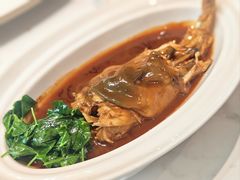 红烧河豚鱼-新光酒家·河豚·海鲜·蟹料理(浦东店)