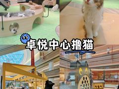 -爪爪喵星球·猫舍(卓悦中心店)