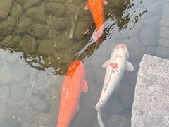-前童古镇