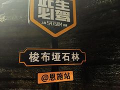 -梭布垭石林景区