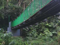 -西双版纳原始森林公园