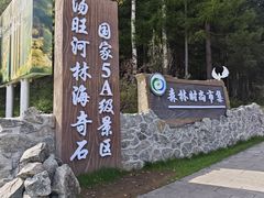 -汤旺河林海奇石景区