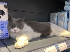 -萌兽医馆·眼科·异宠专科(三里屯店)