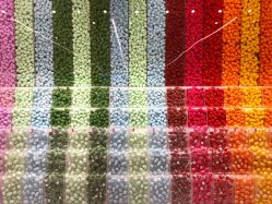 -THE COLORIST调色师