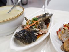 清蒸石斑鱼-南海渔家•海鲜•正宗海南菜(海棠湾店)