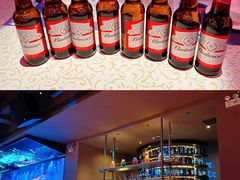 -蝴蝶汇音乐酒馆(罗湖店)