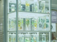 -北京中医药大学-中医药博物馆