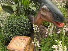 -沈阳植物园