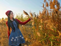 -天津东丽湖风景区