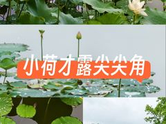 -天赐温泉