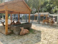 -长白岛森林公园