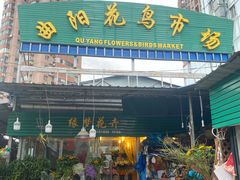 -曲阳花鸟市场(曲阳路店)