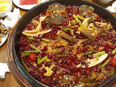 -老板恋上鱼(印象城店)