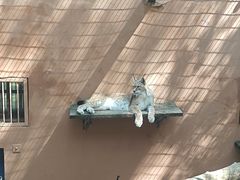 -青藏高原野生动物园