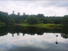-福建鲤鱼洲酒店