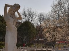 -丰台花园