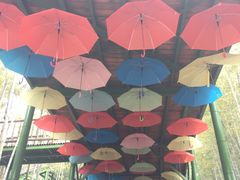 -陶祖圣境风景区