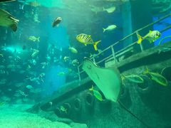 -福州罗源湾海洋世界旅游区