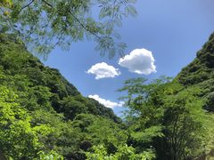 -陕西省红河谷森林公园