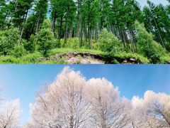 -塞罕坝国家级自然保护区