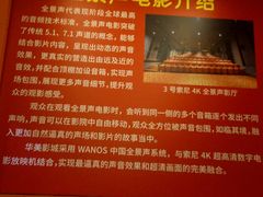 -华美国际影城(旧宫永辉店)