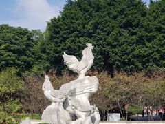 -金鸡山公园