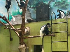 -石家庄市动物园