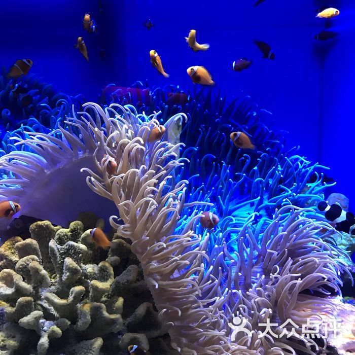 上海海洋水族馆