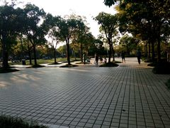 -新江湾城公园