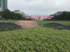 -青岛海滨风景区