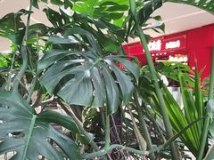 -枕水江南(铁西万象汇店)