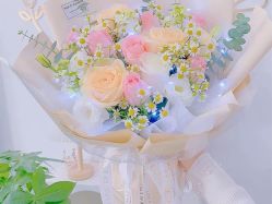 -Mregina 美人纪摄影(样片研发中心)