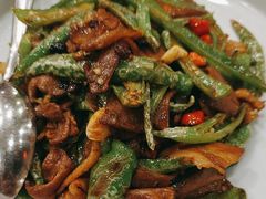 -鸭匠食府·挂炉烤鸭·新京菜(阜成路店)