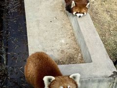 -水上乐园·欢乐世界