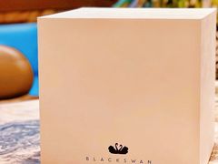 -BLACKSWAN黑天鹅(环球店)