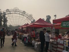 -秀丽东方
