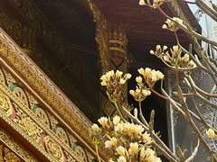 -西双版纳总佛寺