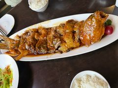 -老牌坊鲁菜名店(聊城美食岛店)