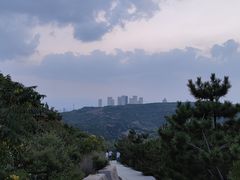 -五龙城郊森林公园