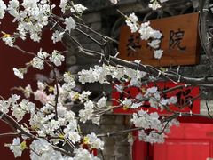 -潭柘寺景区