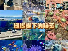 -西雅图水族馆